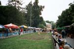 00310_market_1