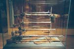 034_31A_Turkish_muskets_from_1683_unsuccessful_Vienna_siege