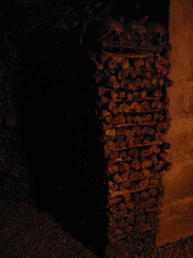 DSCN2548