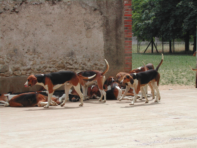 DSCN2771