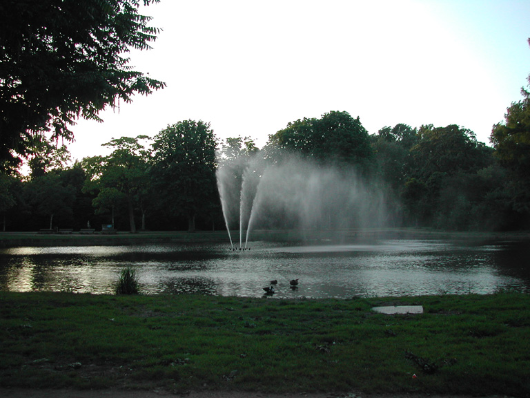 DSCN3015