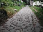 DSCN3927
