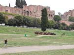 DSCN4042