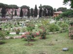 DSCN4070_1