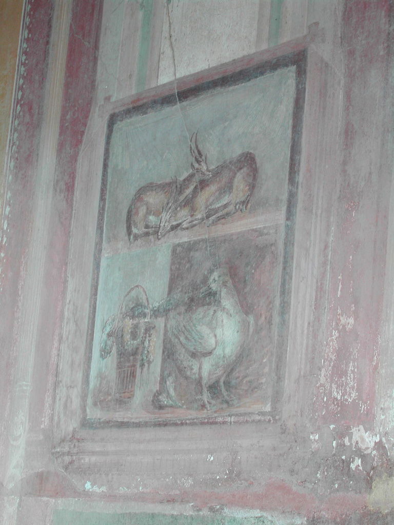 DSCN4176