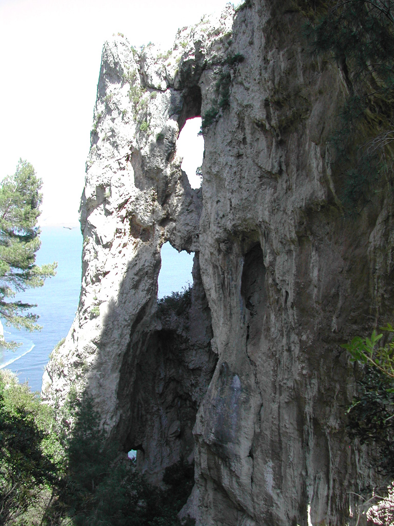 DSCN4532