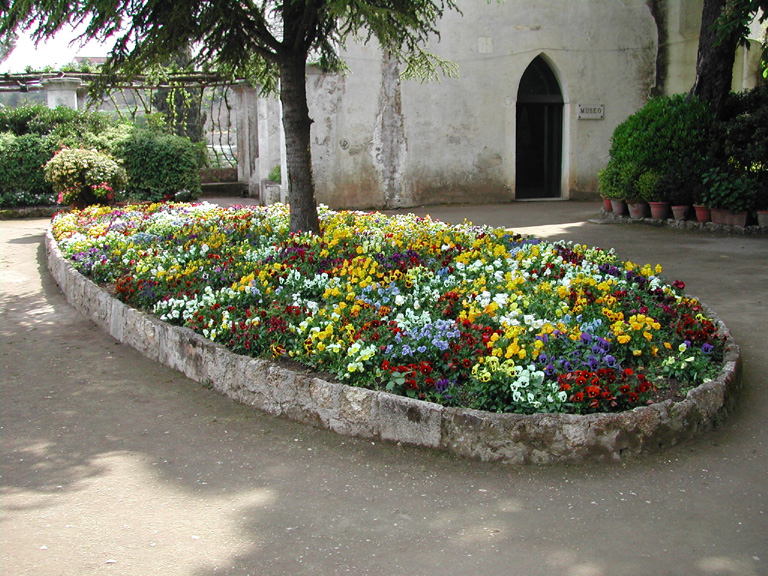 DSCN4505